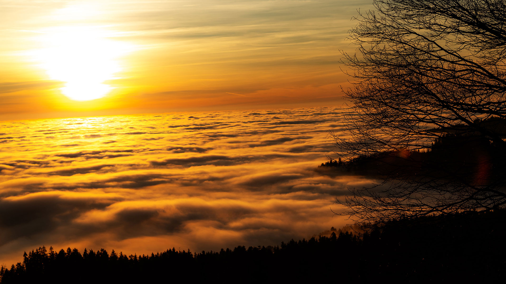 Alpen, verschieden, unzählig, eng Serpentine, faszinierend, Bergstrecke, weiter, oben, anfahrbar, Punkt, urig, Bergdorf, kristallklar, Gebirgsbach, ehemalig, Militärfort, hinauf, hinunter,  vegetationslos, Plateau, unberührt, großartig, Hochgebirgslandschaft, eigen, herb, Reiz, eng, staubig, Schotter, Schotterweg, Schotterstraße, Pass, erklimmen, Gipfel, eindrucksvoll, Aussicht, atemberaubend, Lohn, erleben, Dolce Vita, Freude, Streifzug, Küche, Bayern, Österreich, Italien, Schwierigkeitsgrad, Allradfahrzeug, Untersetzungsgetriebe, steil, Bergaufpassage, Bergabpassage, unbefestigt, leicht, Geröll, klein, Stein, Flach, möglich, Kontakt, Sträucher, Strauch, Zweig, Mindestens,  All Terrain (AT) Bereifung, Grundkenntnisse, Offroadfahren, erforderlich, 4x4, Overland, Brabus, Offroad, Deutschland, Niederbayern, Reiseziel, Deggendorf, St. Englmar, Mitterfels, Straubing, Trails, steinig, Piste, anspruchsvoll, exklusiv, Premium-Hotel, Wellness, Gourmet, Wein, entspannt, Spannung, aufregend, Begeisterung, Abenteuer, G-Klasse, Offroad, Steigung